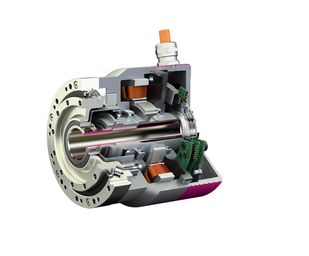 canisdrive-schnitt_01.png